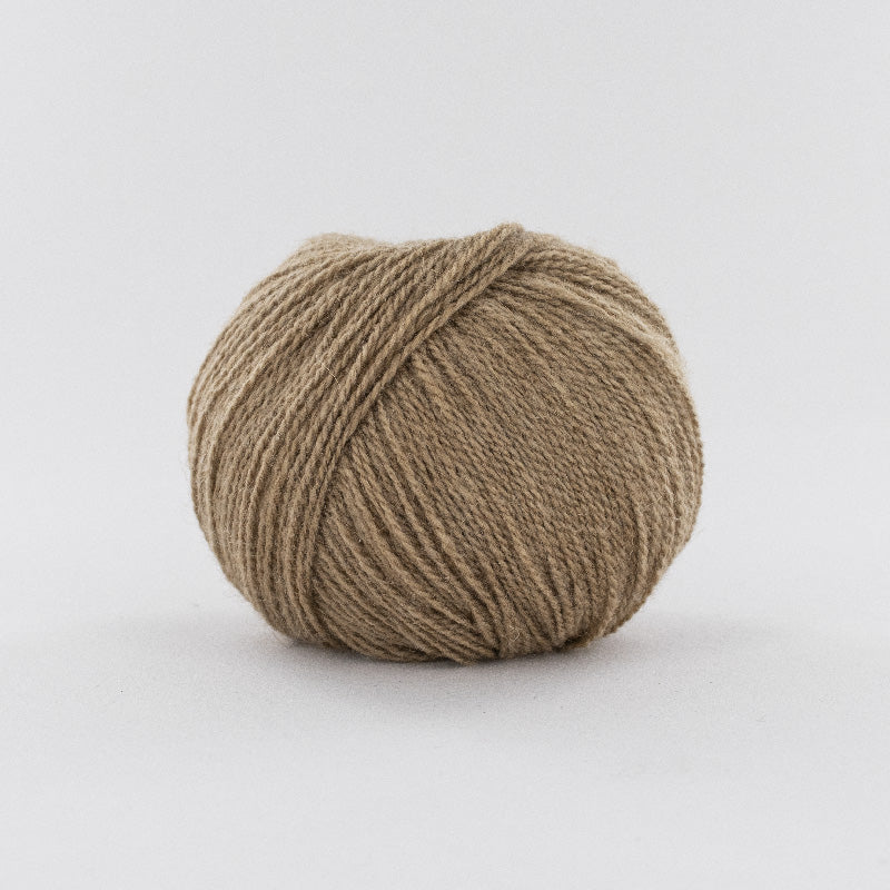 FONTY Camel Gobi 2