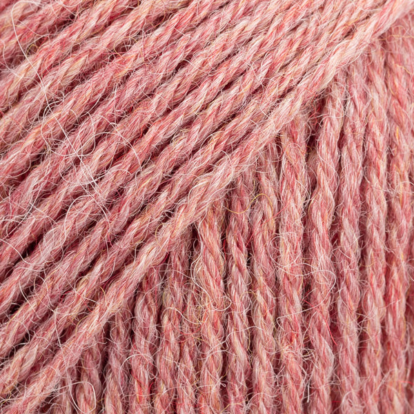 drops nord blush